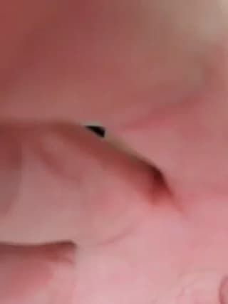 Alex80-201 - bongacams