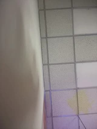 AngelBlushXXX - stripchat
