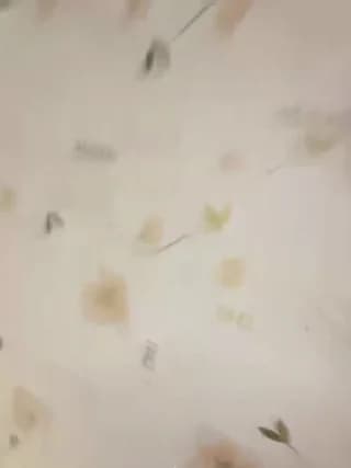 BellaAndAlice - bongacams