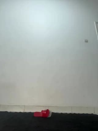 BonnyMolhada - stripchat