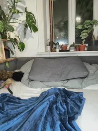 FayeFlame - stripchat