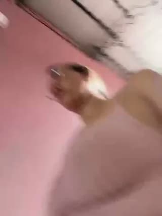 Gatitacarlita - stripchat