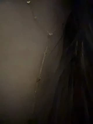 Hall_16 - stripchat