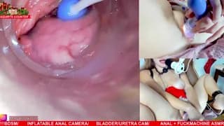 MaryBrook1 - stripchat