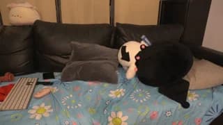 conymegan - chaturbate