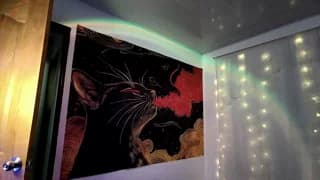 donviktorduo2026 - bongacams