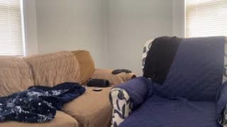 manicpixiedreamfrog - chaturbate