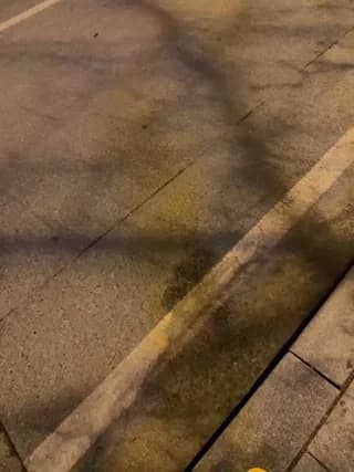 nide-laoshi - stripchat