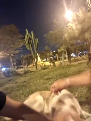 shouko16 - stripchat