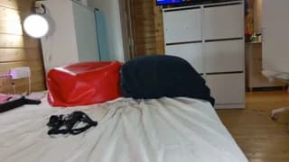 wild41 - stripchat